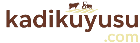 Kadıkuyusu Logo